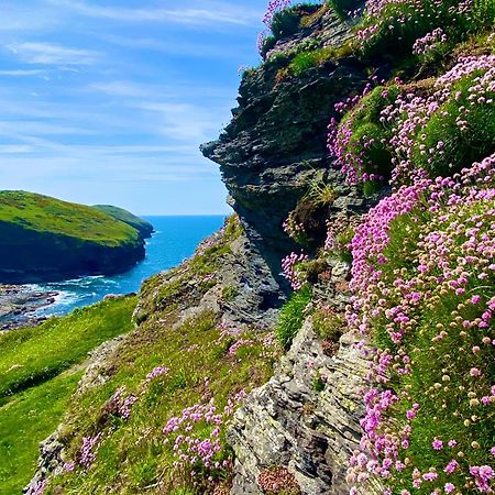 Polrunny Farm Blackberry Cottage - Cornwall Bliss In Sight Of The Sea Boscastle Extérieur photo