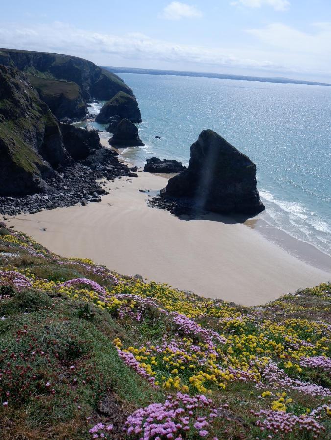 Polrunny Farm Blackberry Cottage - Cornwall Bliss In Sight Of The Sea Boscastle Extérieur photo