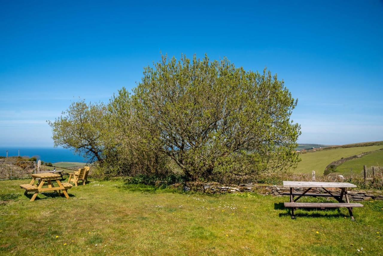 Polrunny Farm Blackberry Cottage - Cornwall Bliss In Sight Of The Sea Boscastle Extérieur photo