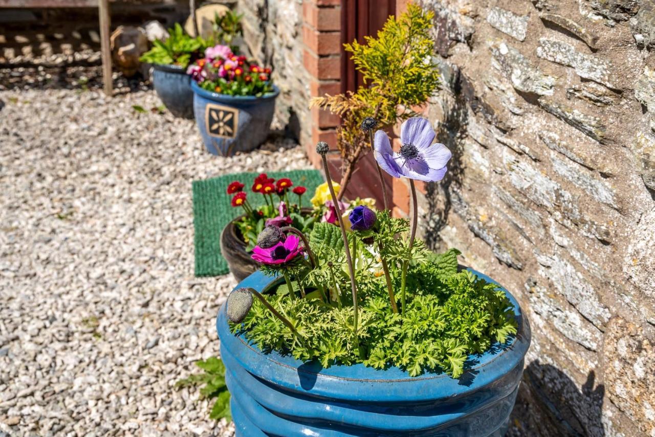 Polrunny Farm Blackberry Cottage - Cornwall Bliss In Sight Of The Sea Boscastle Extérieur photo