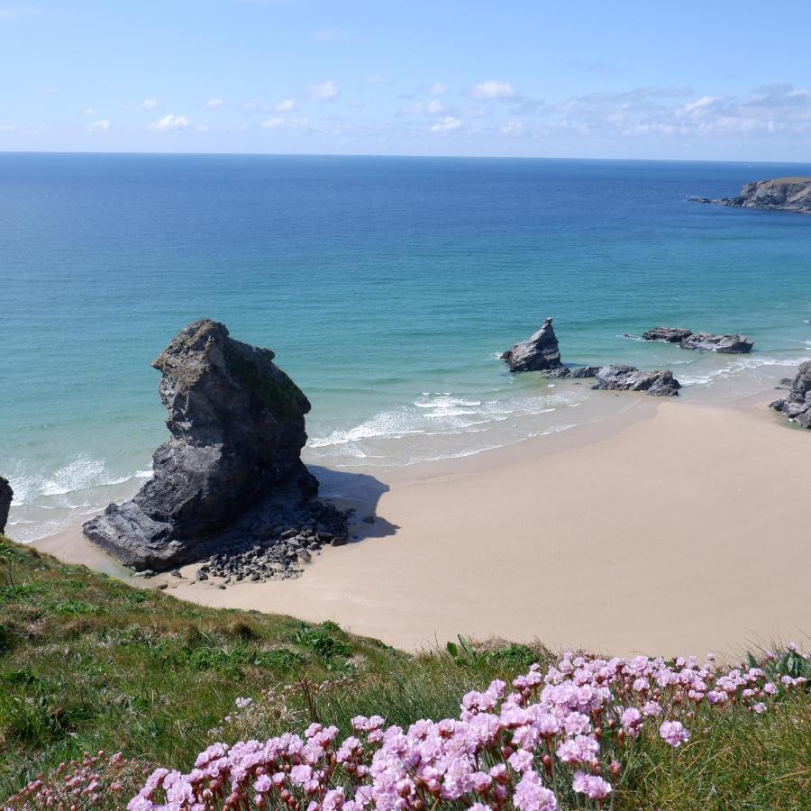 Polrunny Farm Blackberry Cottage - Cornwall Bliss In Sight Of The Sea Boscastle Extérieur photo