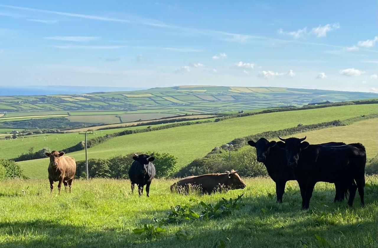 Polrunny Farm Blackberry Cottage - Cornwall Bliss In Sight Of The Sea Boscastle Extérieur photo