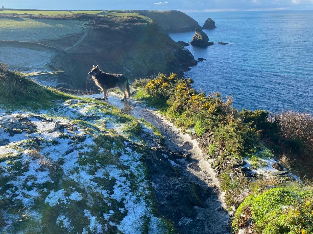 Polrunny Farm Blackberry Cottage - Cornwall Bliss In Sight Of The Sea Boscastle Extérieur photo