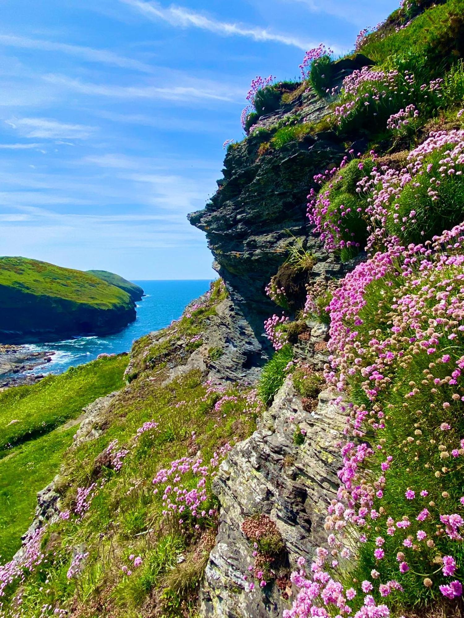 Polrunny Farm Blackberry Cottage - Cornwall Bliss In Sight Of The Sea Boscastle Extérieur photo